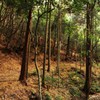 mountain path
