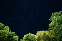 夏の星空