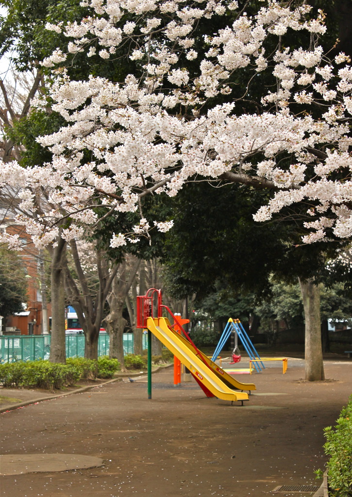Yellow Slide
