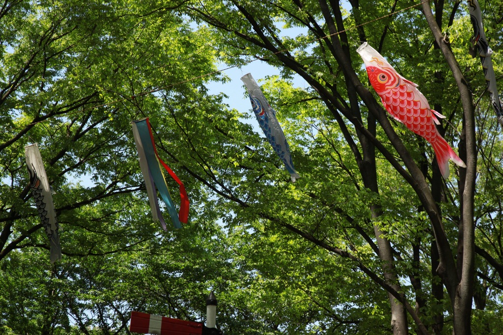 世田谷公園　ー　こどもの日