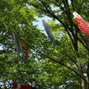 世田谷公園　ー　こどもの日