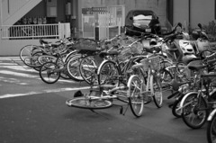 Domino effect