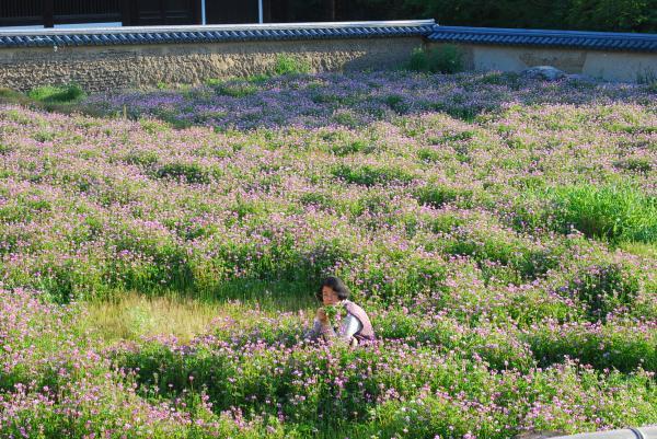 DSC_0699_convert_20100602023209