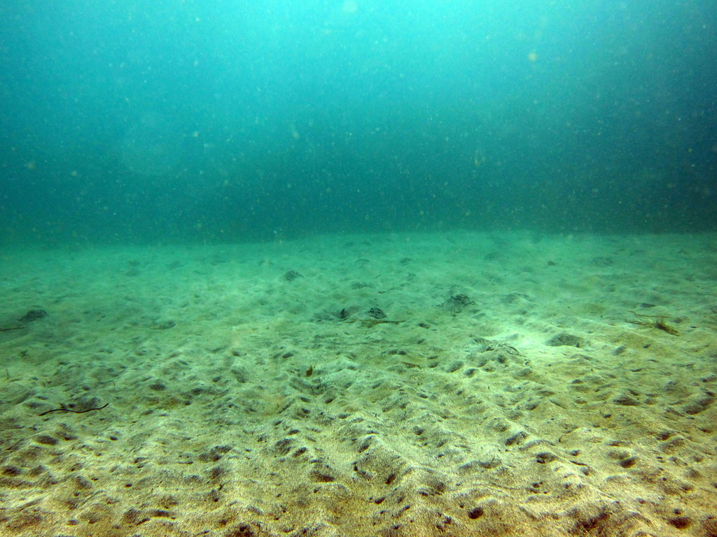 水深8m