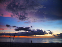 The man and the sea