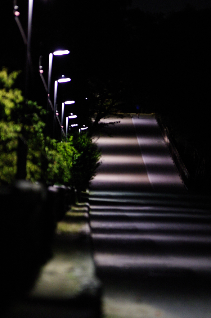 大阪城外の歩道