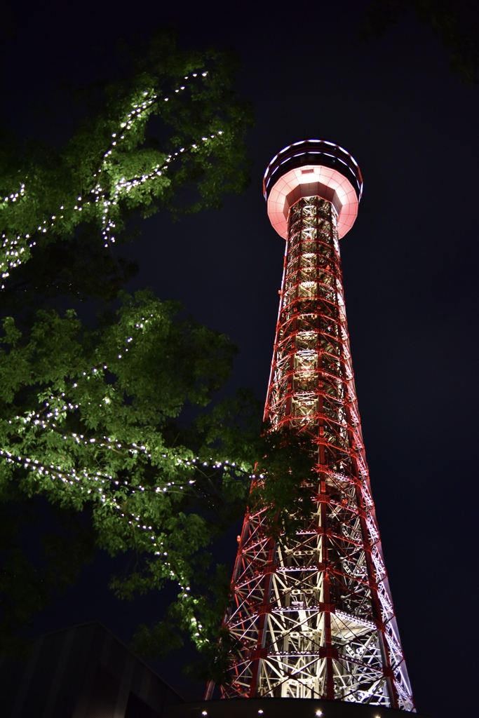 横浜徒歩巡り〜夜の町並み〜