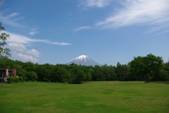富士山