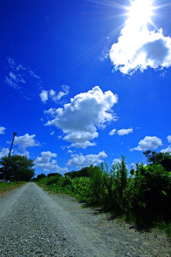 夏空風景 By Tonkatsu Id 写真共有サイト Photohito