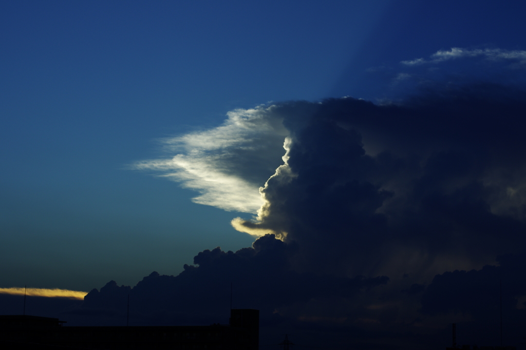 顔雲