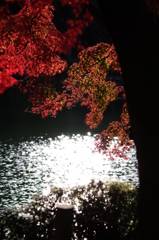 水辺の紅葉風景