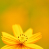 photo773991