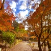 秋の色彩9