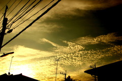 朝陽雲