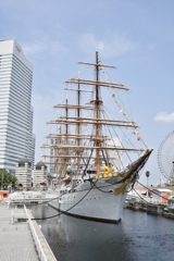 横浜徒歩巡り1〜日本丸〜