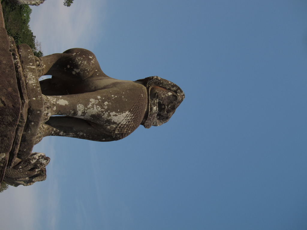 孤高の雄叫び！