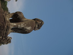 孤高の雄叫び！