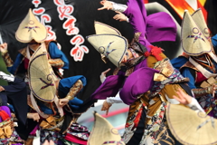 ござれ１１