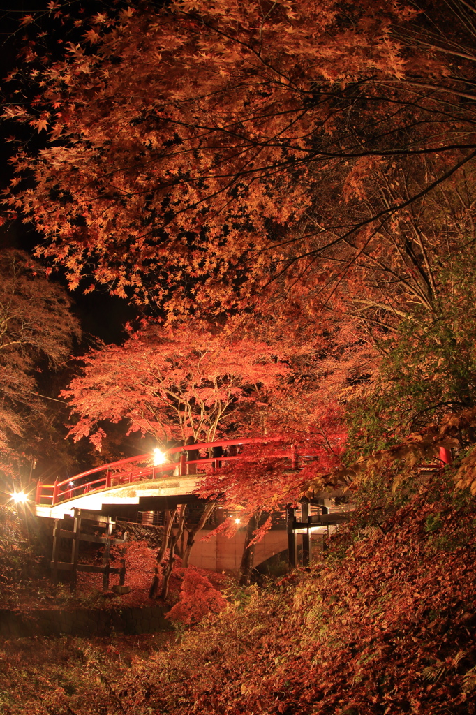 伊香保の秋景色