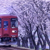 お花見電車