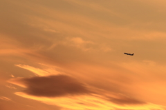 夕焼け空を飛ぶ