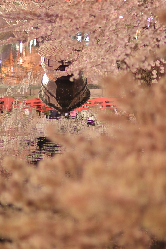 水の都の夜桜１