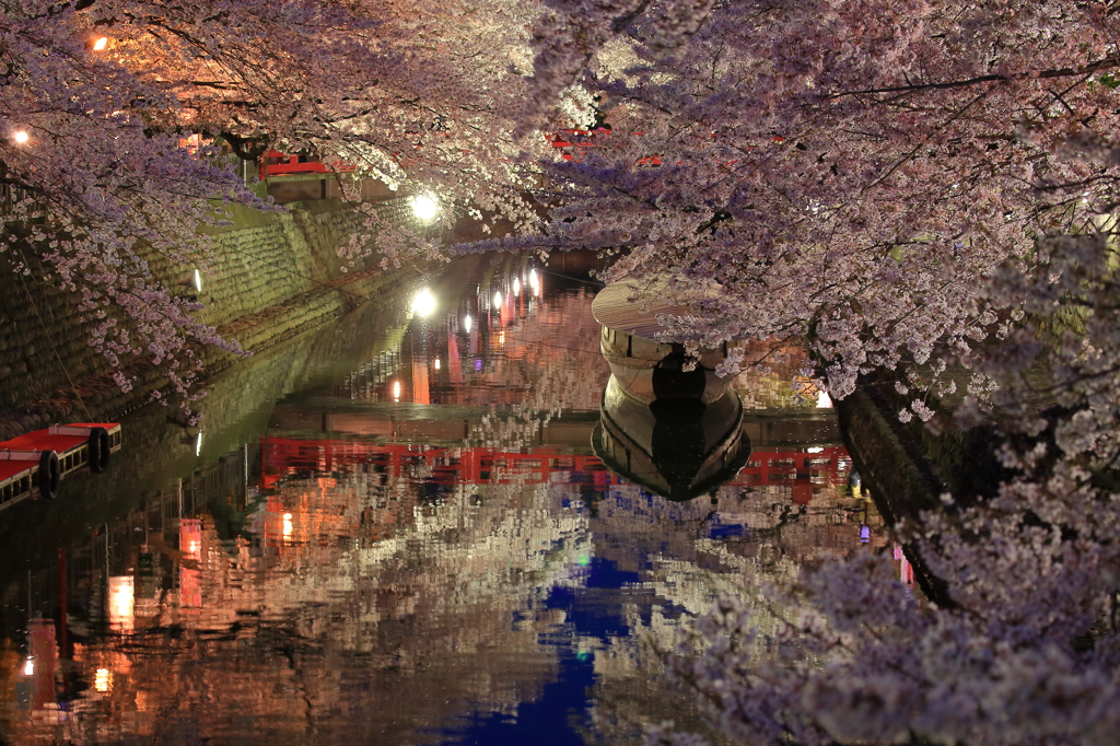 桜の咲く頃