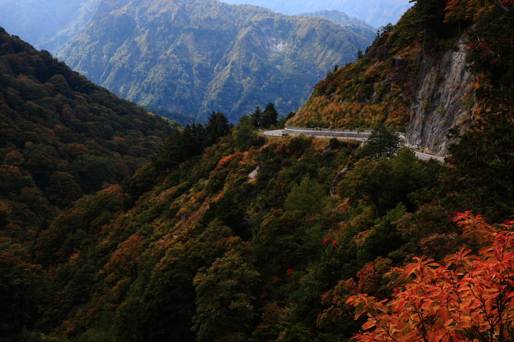 色づく山を走る