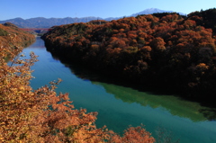 橋の上から