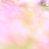 にわか撮り鉄