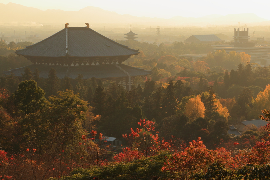 東大寺夕景