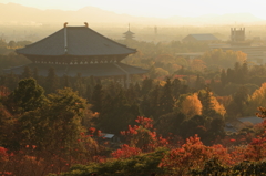 東大寺夕景