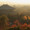 東大寺夕景