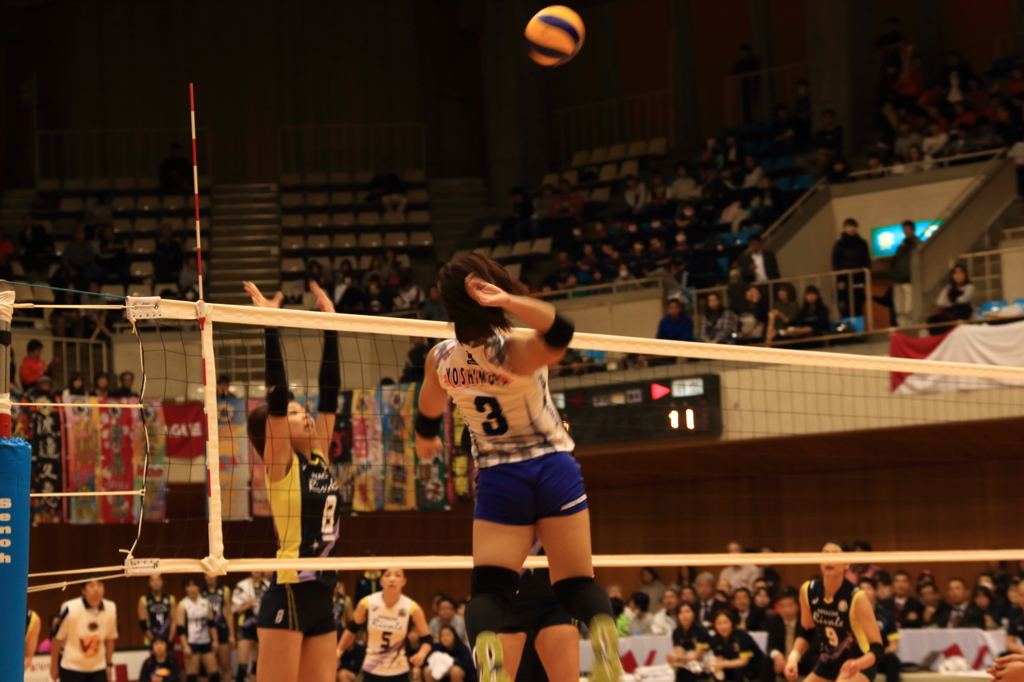 vリーグ