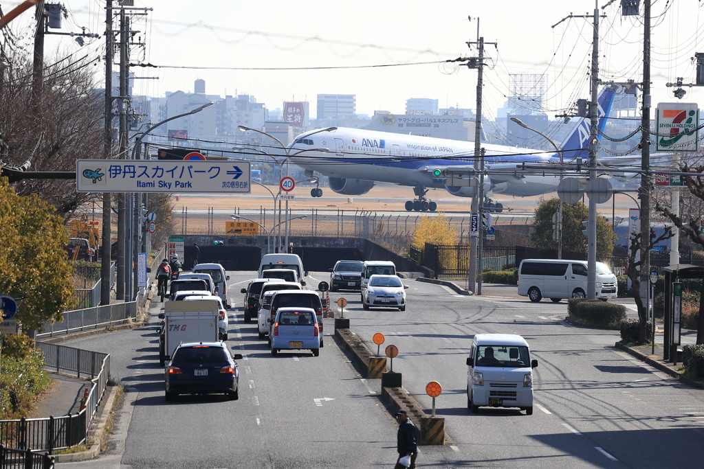 そういえば・・・