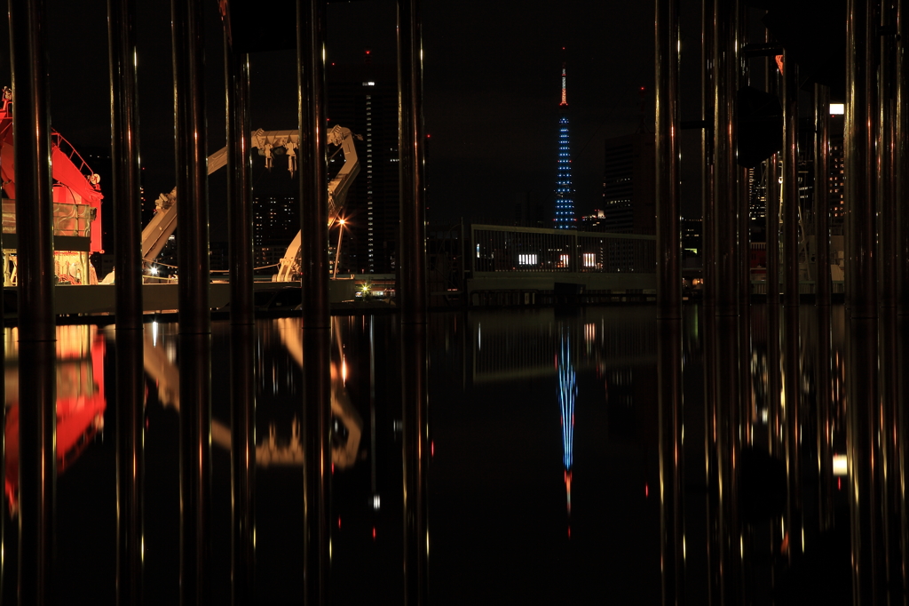 特別な夜