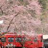 ながらを追いかけて２