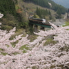 高山本線紀行２
