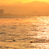 琵琶湖朝景色
