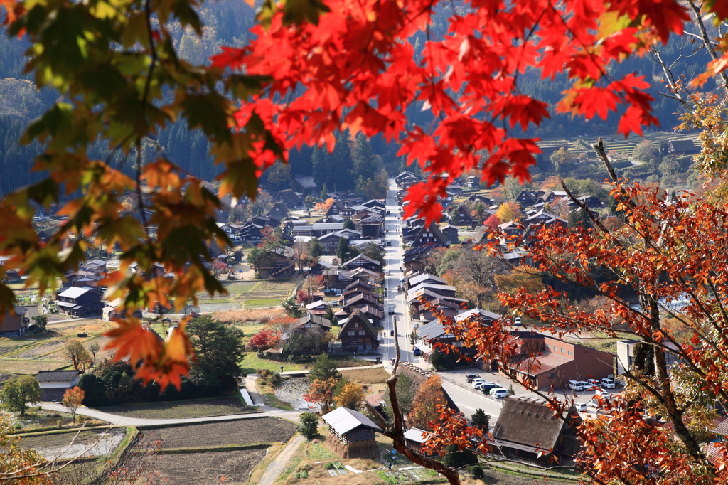 秋の白川郷