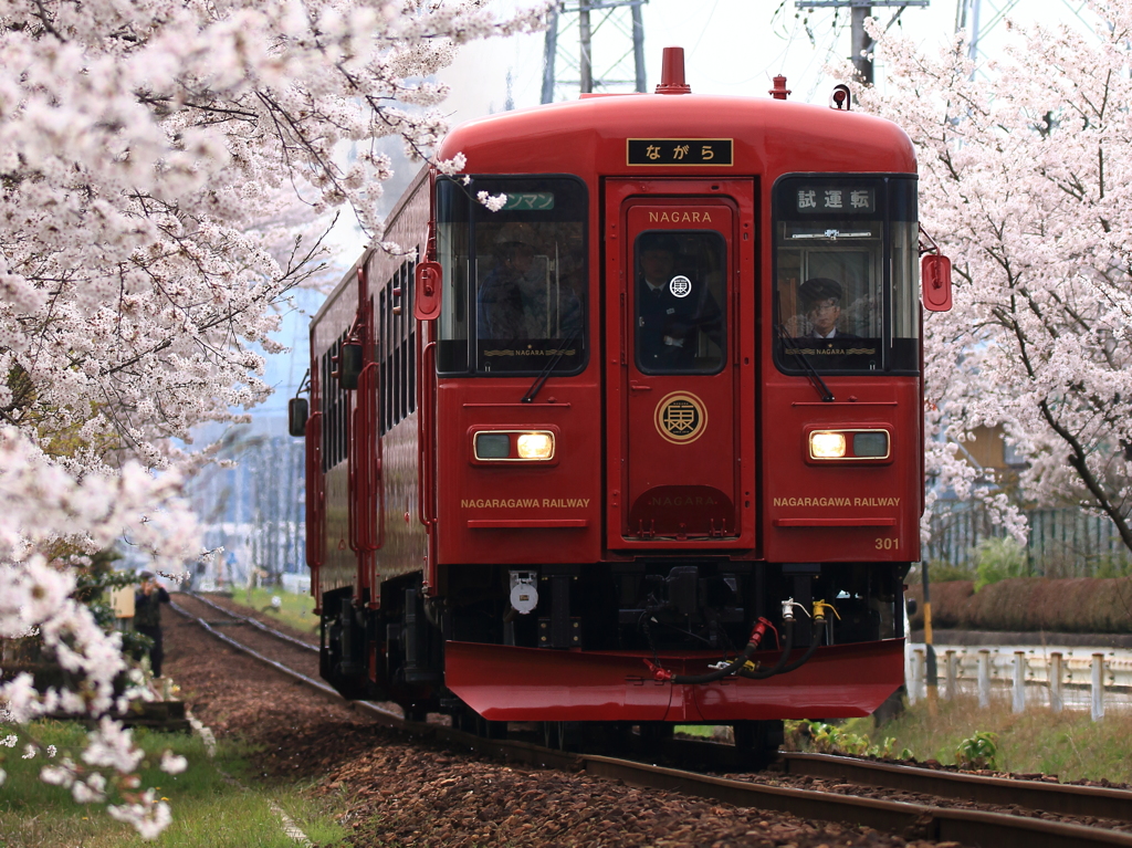 ながらを追いかけて１０