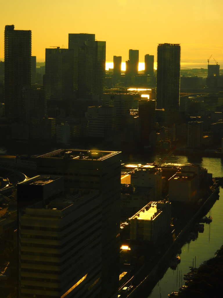 朝のひと時