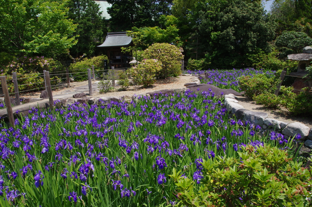 舞子多聞寺