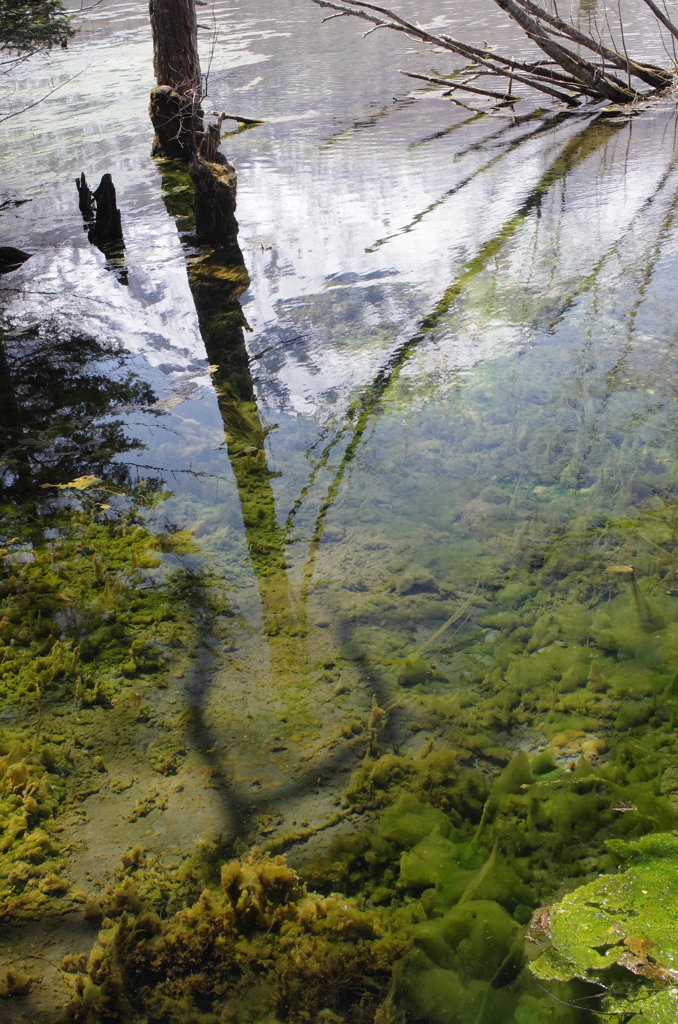 焼岳水鏡