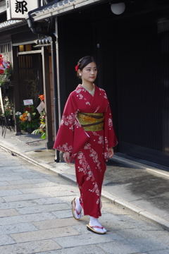 京都着物美人散歩