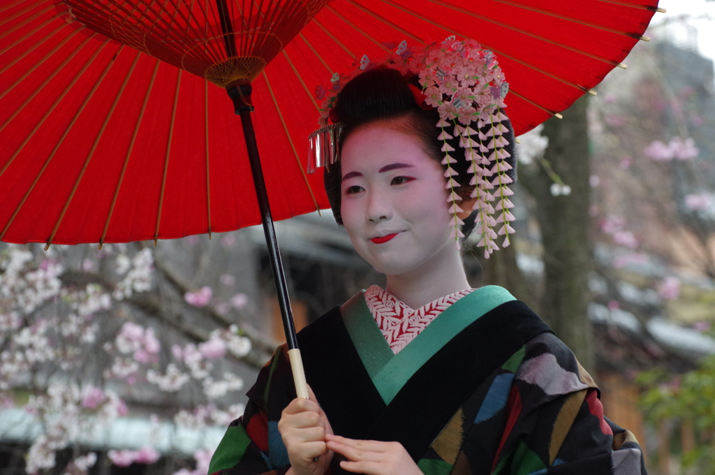 祇園白川芸舞妓散歩
