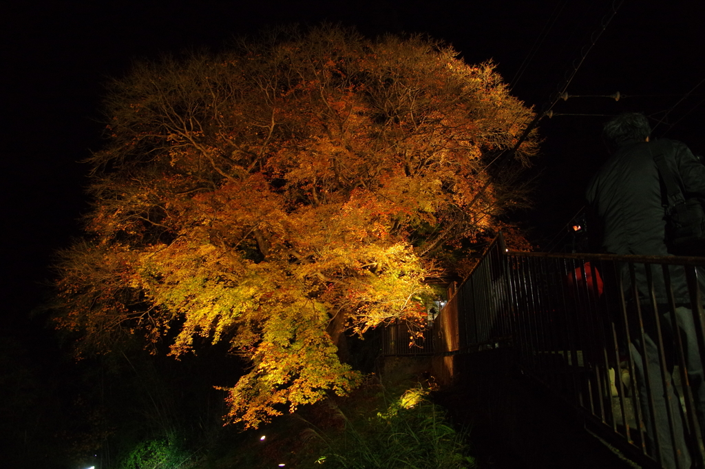 二ノ瀬駅の紅葉