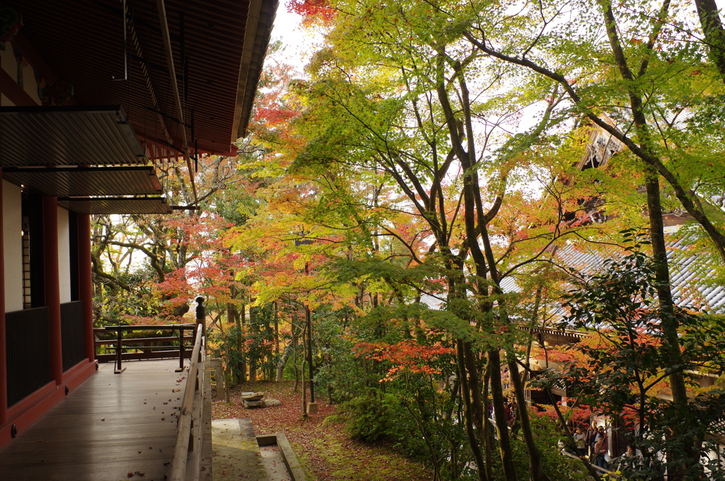 見返り観音の風景