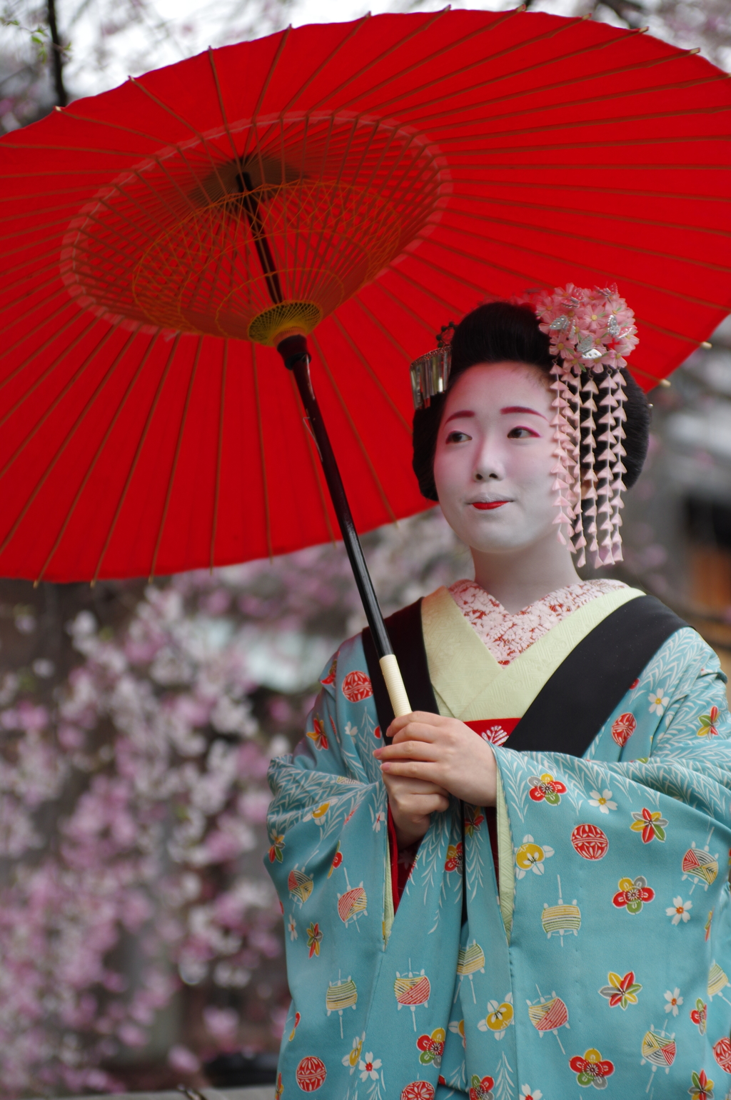 祇園白川芸舞妓散歩