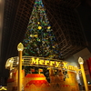 もうクリスマスや